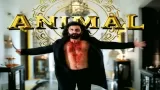 Animal Movie Release Date