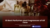 10 Best Perfumes and