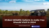 10 Best Wildlife Safaris