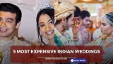 5 Most expensive Indian
