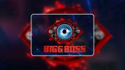 Bigg Boss 18: List