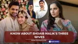 Did Shoaib Malik marry