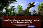 Experience Dinosaur World at