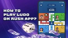 How to Play Ludo on Picture