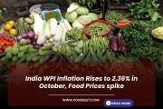 India WPI Inflation Rises