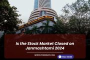 Is the Stock Market