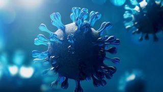 Jammu and Kashmir Mysterious Illness Kills 8 in Rajouri Village