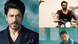 Most popular Actors of