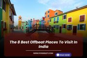 The 8 Best Offbeat
