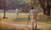 The Evolution of Cricket