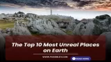 The Top 10 Most