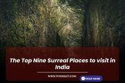 The Top Nine Surreal