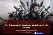 Top 5 New South