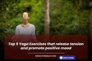 Top 5 Yoga Exercises