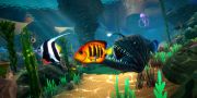 Vegas11 Login & Fish