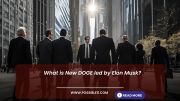 What is DOGE? Elon