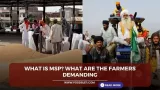 What is MSP? What