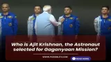 Who is Ajit Krishnan,
