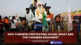 Why farmers protesting again,
