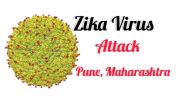 Zika Virus Advisory, Alert