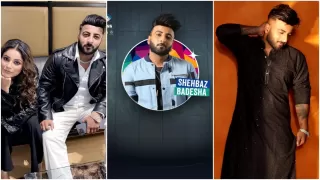 Bigg Boss 19 Contestant Shehbaz Badesh: Biography, Career, Awards & Achievements, Net Worth