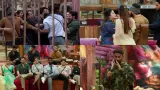 Bigg Boss 19 Day