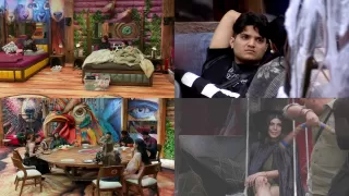 Bigg Boss 19 Day 43 Highlights: Malti Give Reality Checks, Fights, Fun & Nomination Task