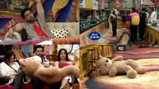 Bigg Boss 19 Day 51 Highlights: Teddy Task, Ration Task, Malti vs Nehal Fights