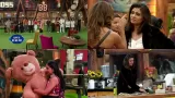 Bigg Boss 19 Day