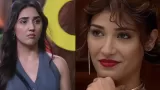 Bigg Boss 19 Elimination: