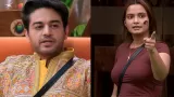 Bigg Boss 19 Elimination: