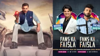 Bigg Boss 19: Fans Choose Contestant for Grand Premiere