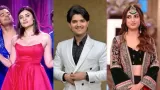 Bigg Boss 19: Mridul