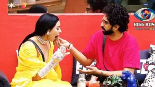 Bigg Boss 19: Tanya Mittal Receives Royal Treatment, Amaal Mallik Feeds Her Like a Princess