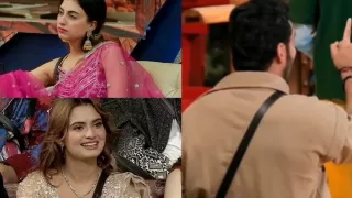 Bigg Boss 19: These two contestants were eliminated from the show