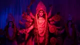 Chaitra Navratri 2025: Which