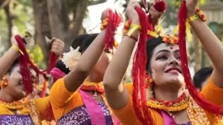 Dol Purnima 2025: Why This Festival Is a Must-Experience