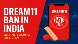 Dream11 Ban? Fantasy Sports