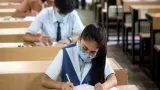 Free Online Board Exam