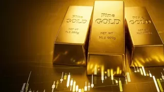 Gold prices have risen 50% this year, hitting 35 new record highs