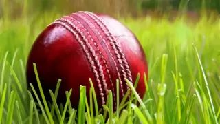 How Cricket Ball Manufactured, what materials are used, watch the video