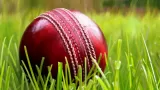 How Cricket Ball Manufactured,