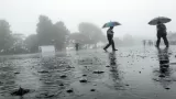 IMD Forecasts Heavy Rains