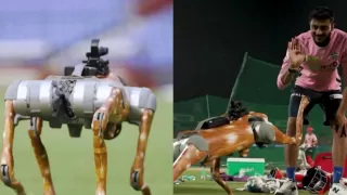 IPL 2025: IPLs New Robot Dog Surprises Cricket Players