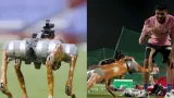 IPL 2025: IPLs New