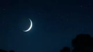 Kartik Amavasya 2025: Today