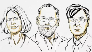 Nobel Prize 2025: Mary Brunkow, Fred Ramsdell, and Shimon Sakaguchi Honored in Medicine
