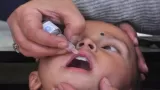 Pulse Polio Drive in