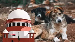 Supreme Court Summons States Over Delay in Stray Dog Rules