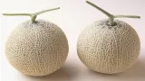 The most expensive fruit: